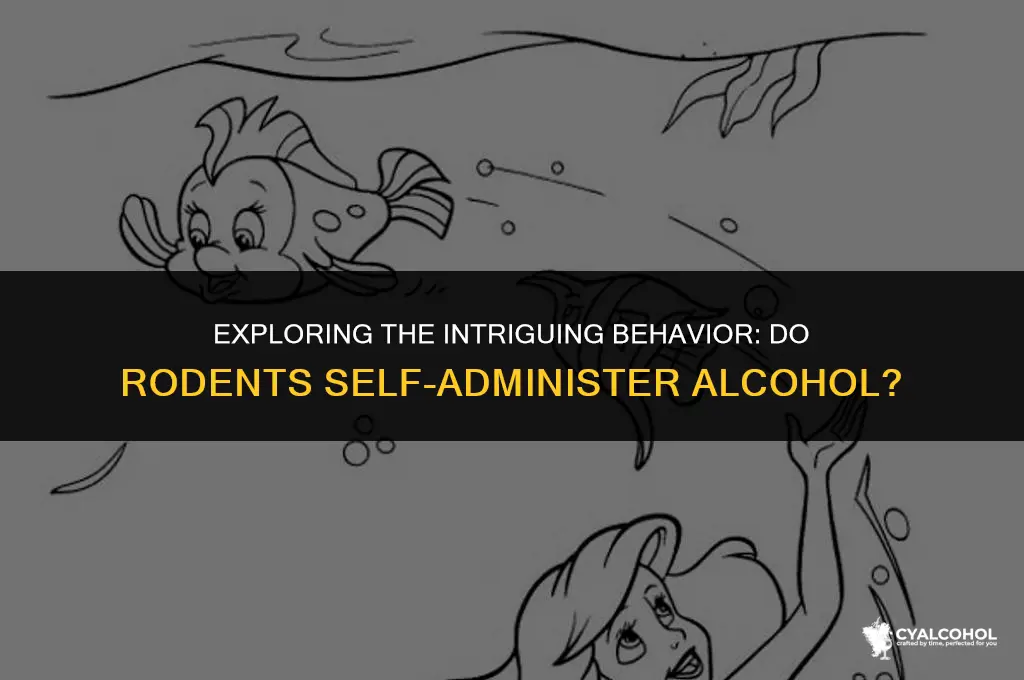 do rodents self-administer alcohol
