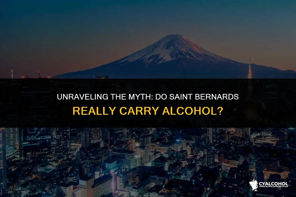 do saint bernards carry alcohol