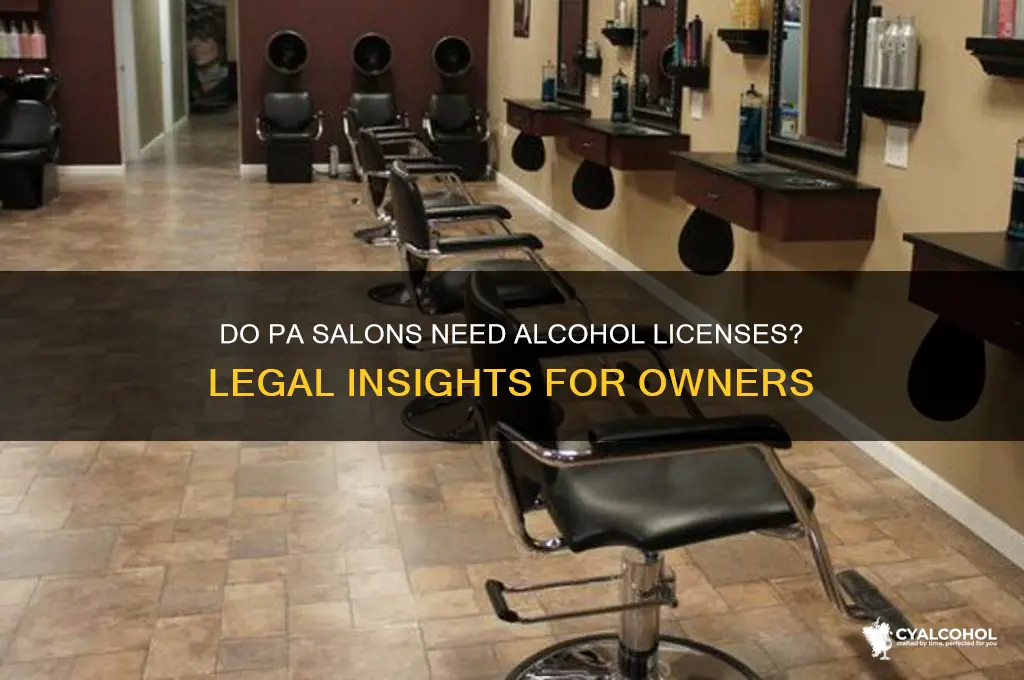 do salons need alcohol license pa