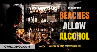 Can You Drink Alcohol on San Diego Beaches? Rules Explained