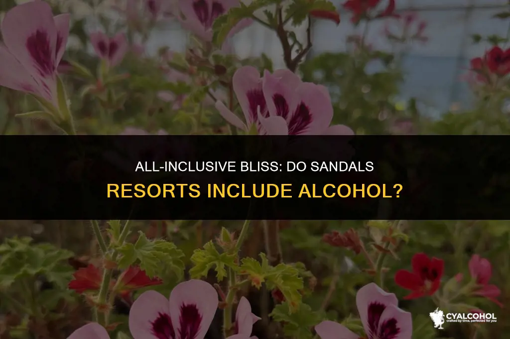 do sandals resorts include alcohol