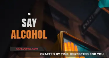 Do Say Alcohol: Navigating Social Drinking Etiquette and Conversations