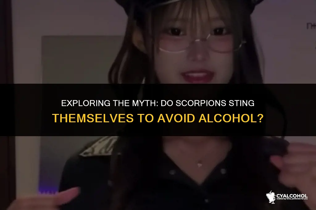 do scorpions sting themselves alcohol