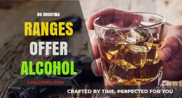 Exploring the Policies: Alcohol Consumption at Shooting Ranges