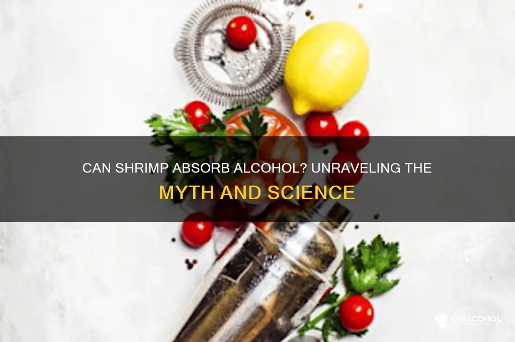 do shrimp absirb alcohol