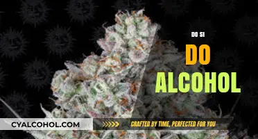 Exploring Do Si Do Alcohol: Flavors, Origins, and Perfect Pairings