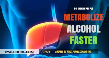 Skinny Drinkers: Does Body Type Affect Alcohol Metabolism Speed?