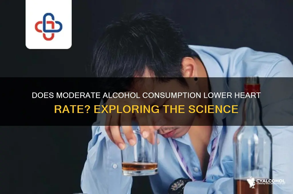 do small amounts of alcohol decrease heart rate