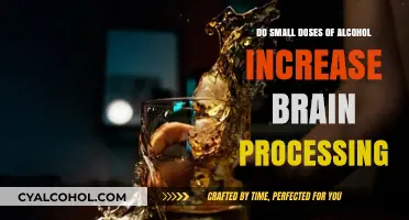 Small Alcohol Doses: Boosting Brain Processing or Myth?