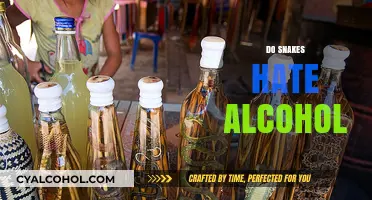 Do Snakes Despise Alcohol? Unraveling the Myth and Reality