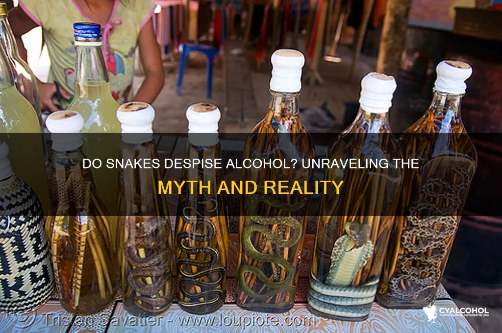 do snakes hate alcohol