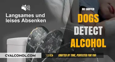 Can Sniffer Dogs Detect Alcohol? The Science Behind It
