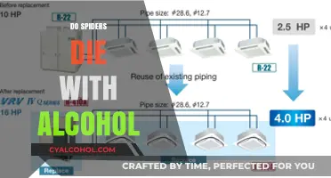 The Surprising Truth About Spiders and Alcohol Consumption