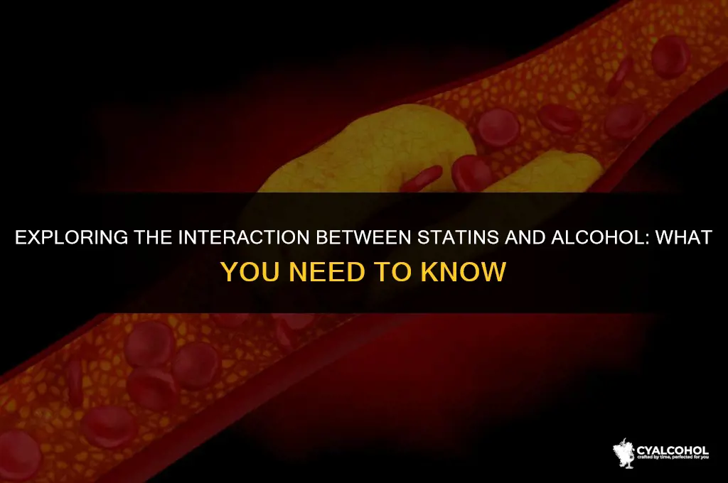do statins interact with alcohol