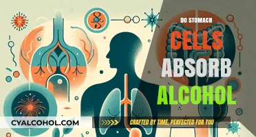 Unveiling the Truth: How Stomach Cells Interact with Alcohol