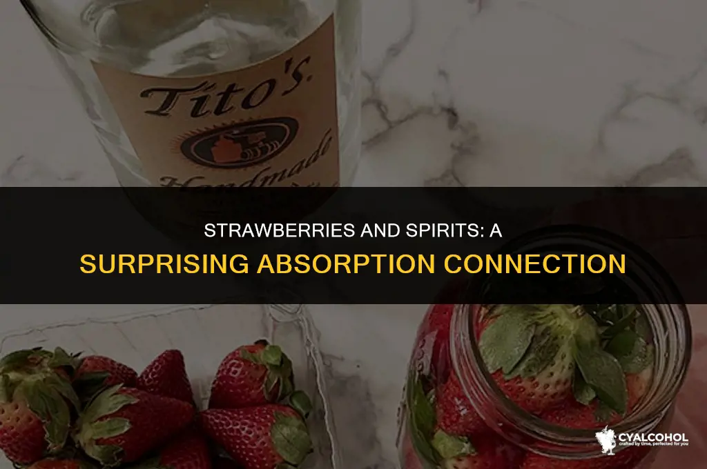 do strawberries soak up alcohol