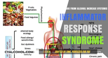 Alcohol Sugars and Systemic Inflammation: What's the Link?