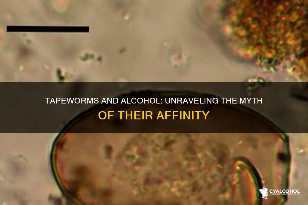do tapeworms love alcohol