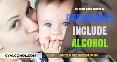 Pregnancy Taste Buds: Alcohol Sensitivity and Flavor Changes Explained