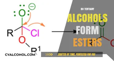 Exploring Ester Formation: The Unique Case of Tertiary Alcohols
