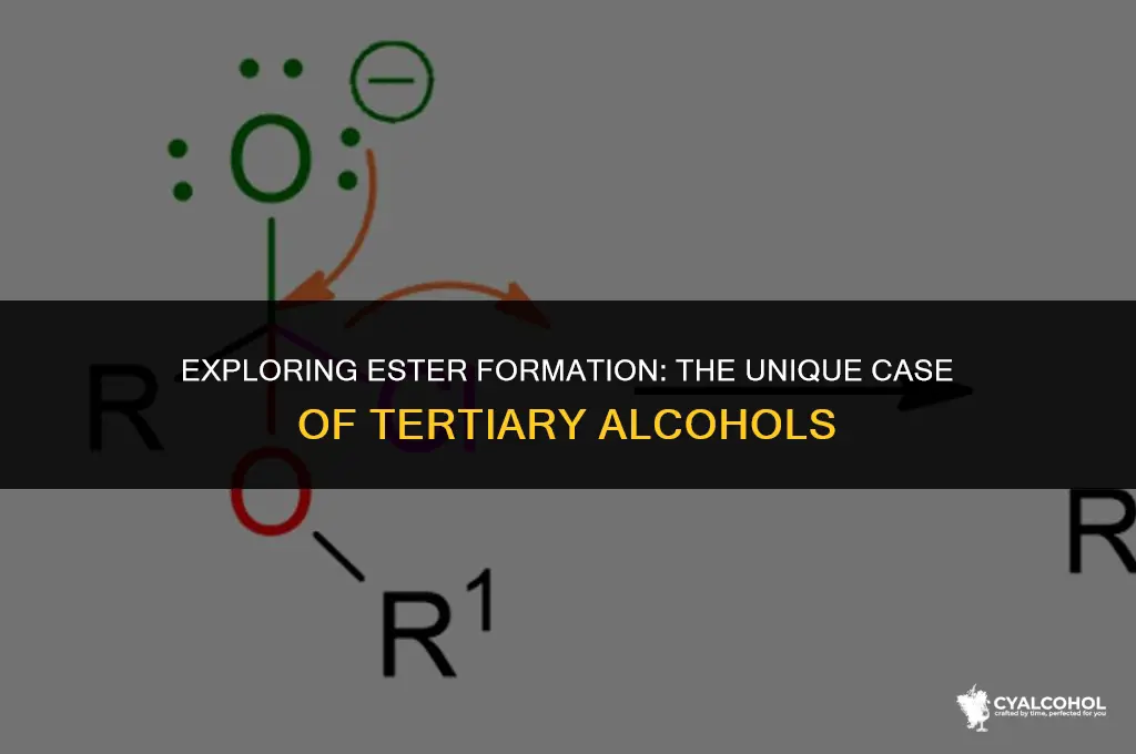 do tertiary alcohols form esters
