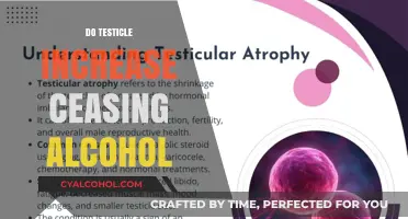 Does Quitting Alcohol Lead to Testicular Growth?