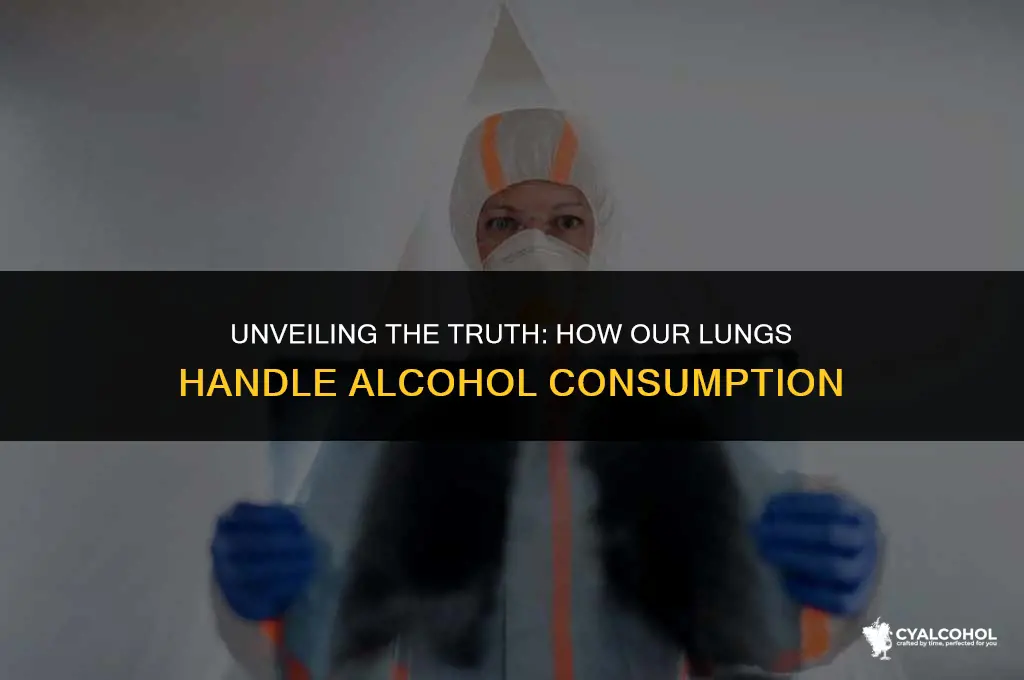 do the lungs expel alcohol