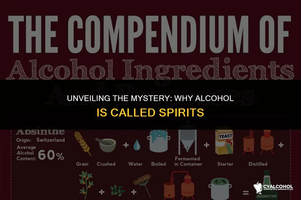 do they call alcohol spirits