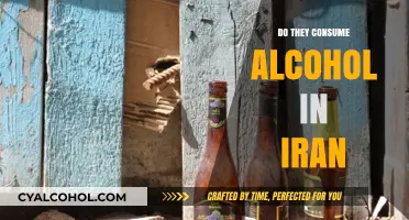 Alcohol Consumption in Iran: Legal Status, Cultural Norms, and Practices