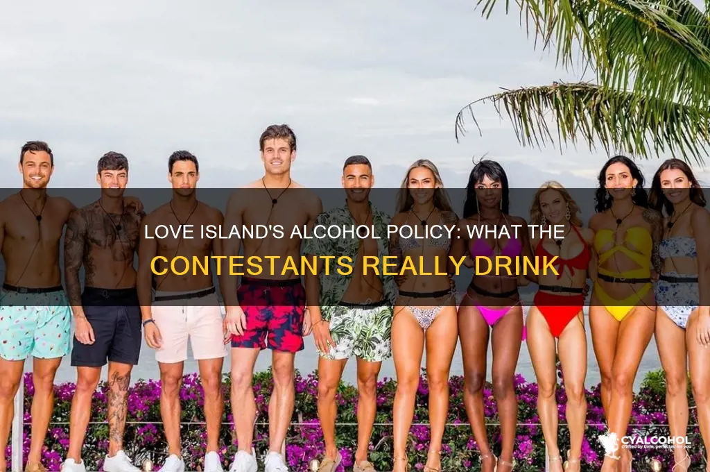 do they give them alcohol on love island