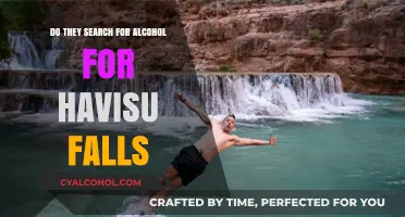 Exploring Havasu Falls: Do Visitors Search for Alcohol Nearby?