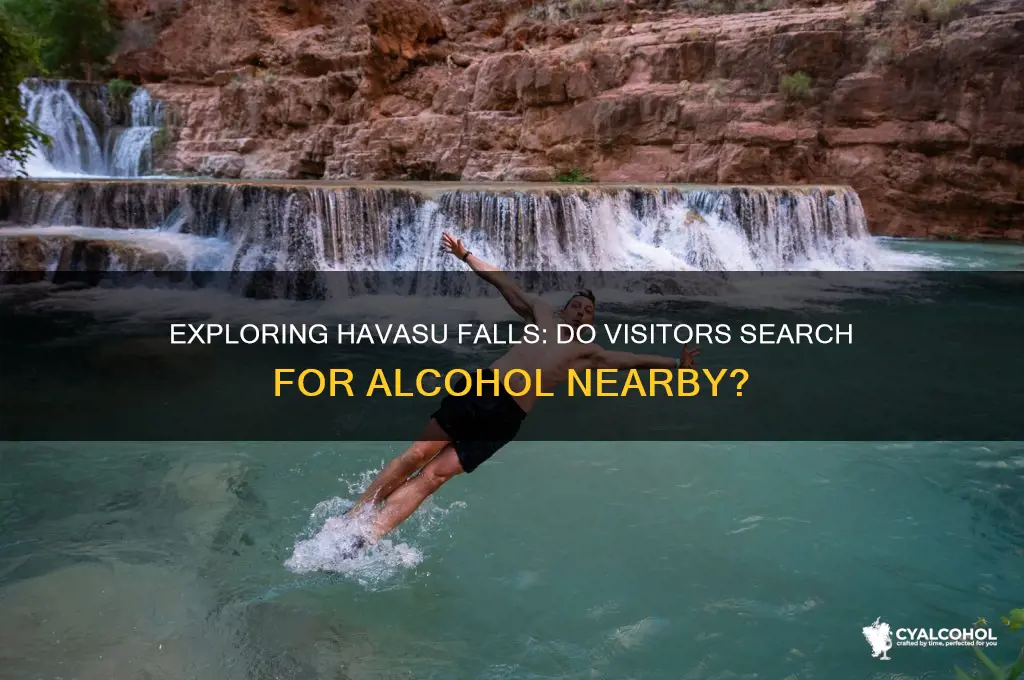do they search for alcohol for havisu falls