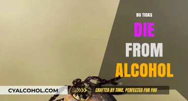 The Truth About Ticks and Alcohol: Can It Kill Them?