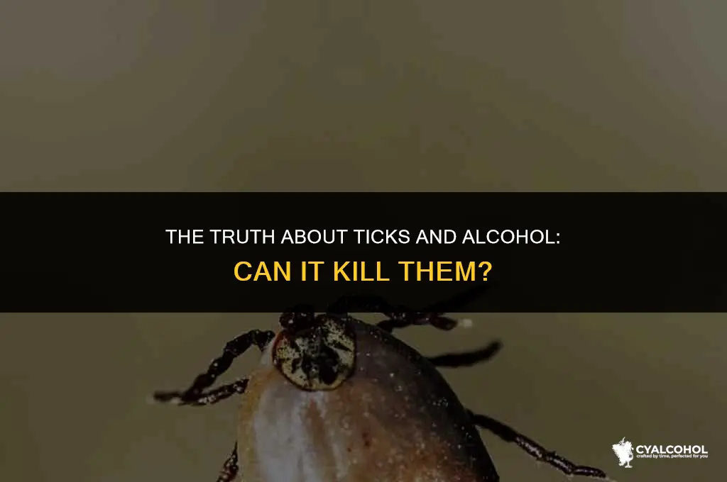 do ticks die from alcohol