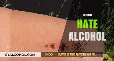 Ticks and Alcohol: Unraveling the Myth of Their Aversion