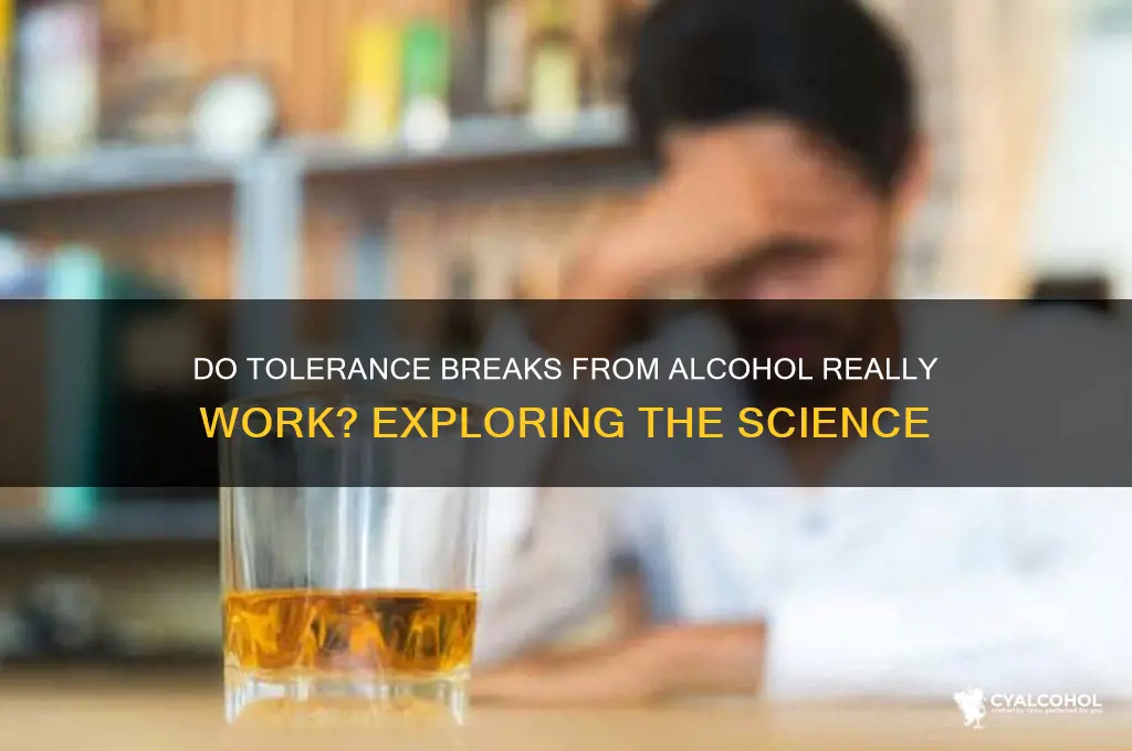 do tolerance breaks work for alcohol