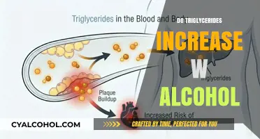 The Impact of Alcohol on Triglyceride Levels: What You Need to Know