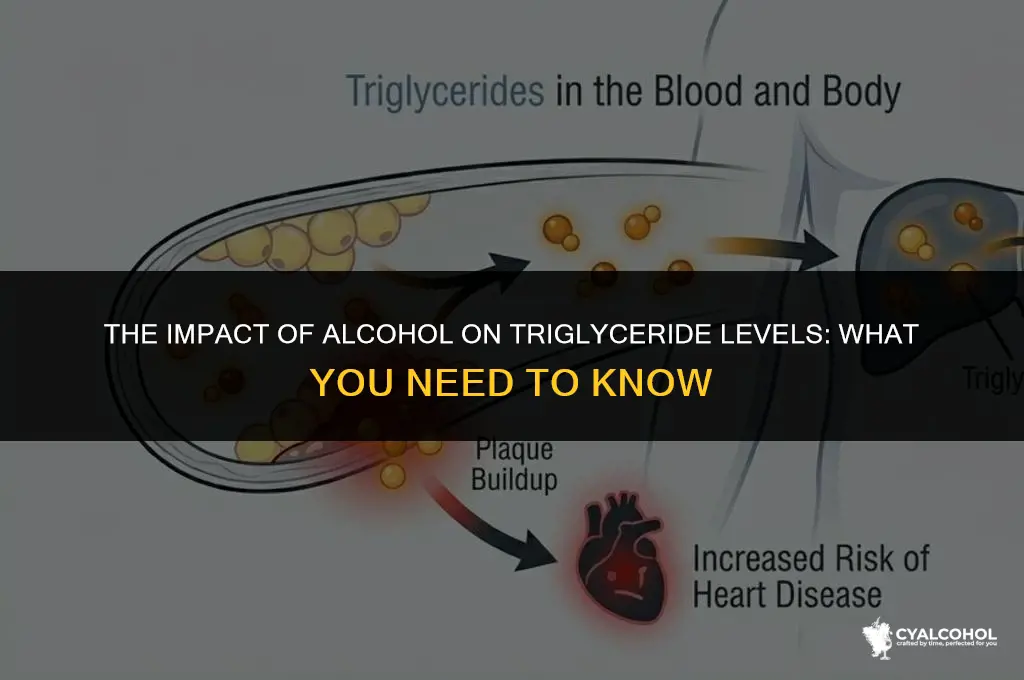 do triglycerides increase w alcohol