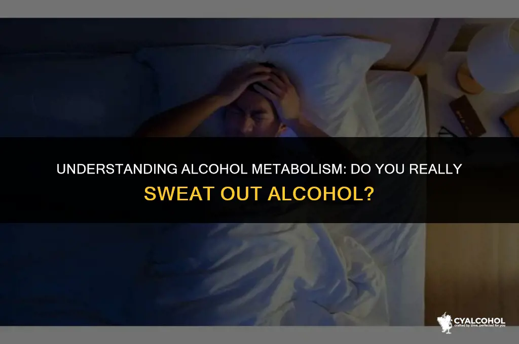 do u sweat out alcohol