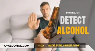 Can Urinalysis Detect Alcohol? Understanding Drug Testing Methods