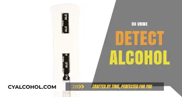 Can Urine Tests Accurately Detect Alcohol Consumption? What You Need to Know