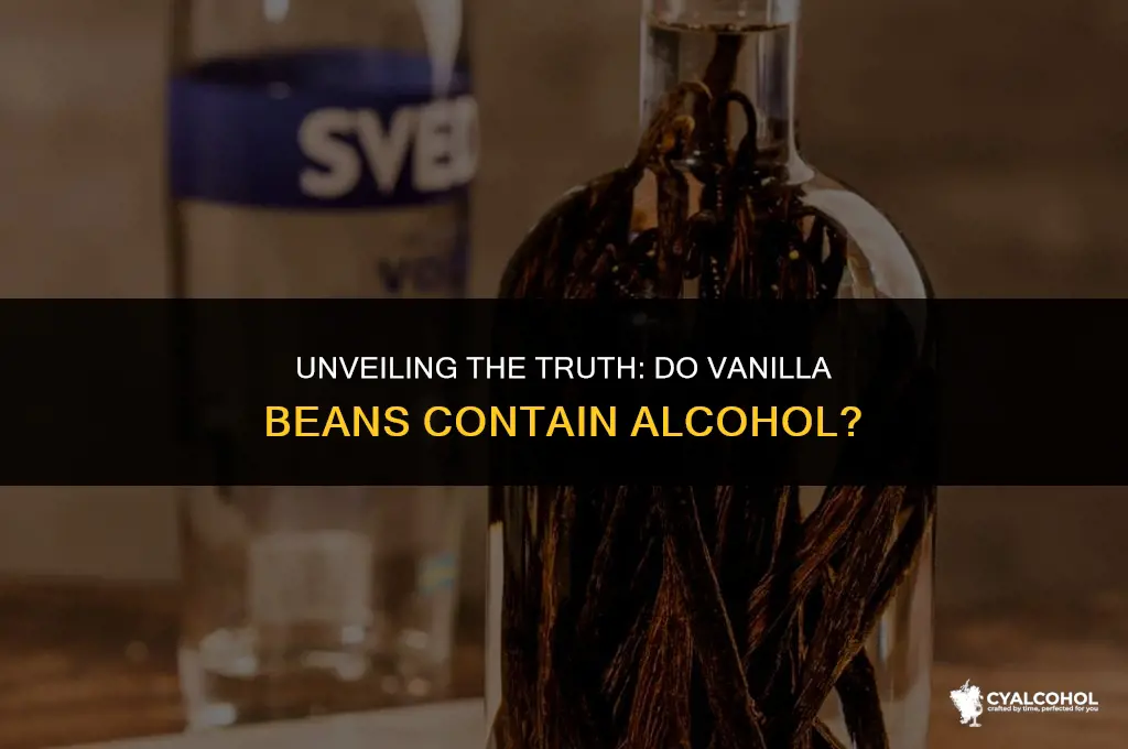 do vanilla beans have alcohol