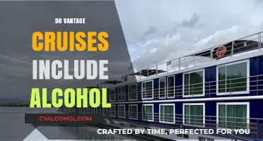 Sipping on the High Seas: Alcohol Options on Vantage Cruises