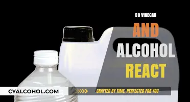 Exploring the Reaction Between Vinegar and Alcohol: A Comprehensive Guide