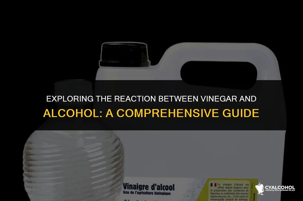 do vinegar and alcohol react