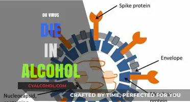 The Truth About Virus Survival in Alcohol: A Scientific Look