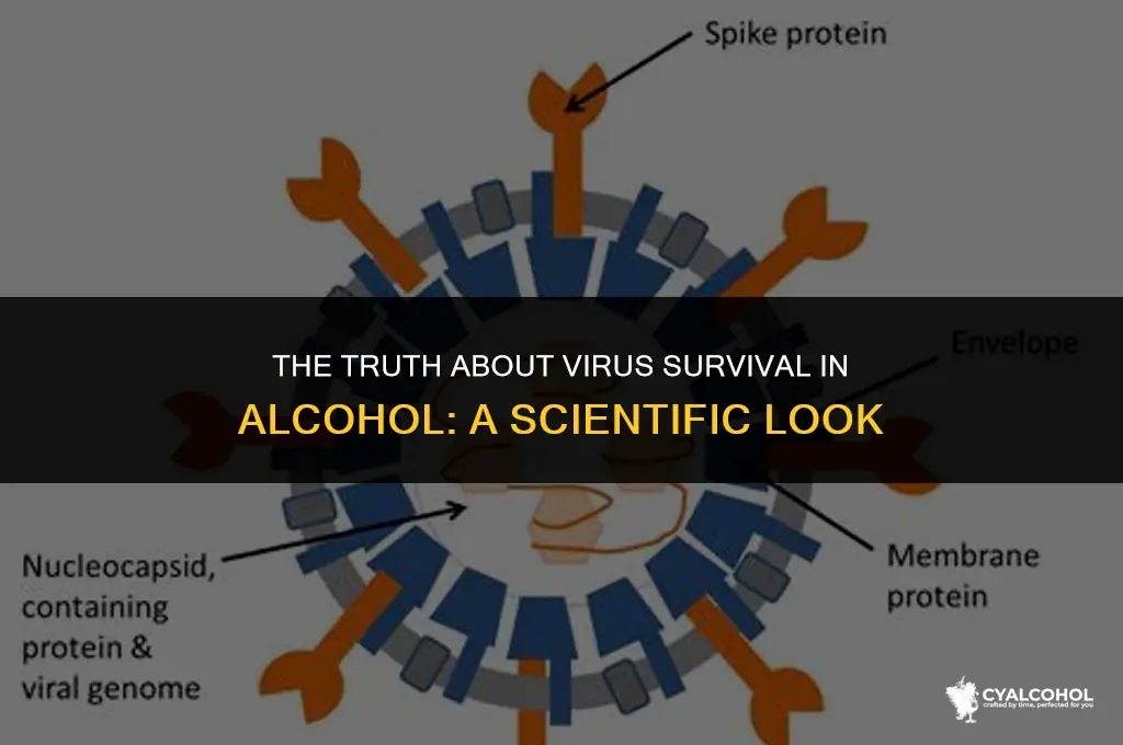 do virus die in alcohol