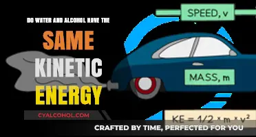 Water vs Alcohol: A Kinetic Energy Comparison