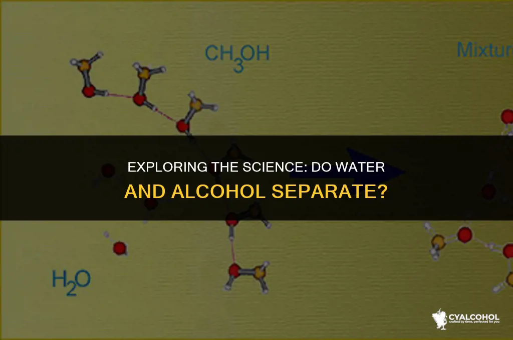 do water and alcohol separate
