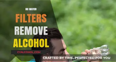 Sobriety Simplified: The Truth About Water Filters and Alcohol Removal
